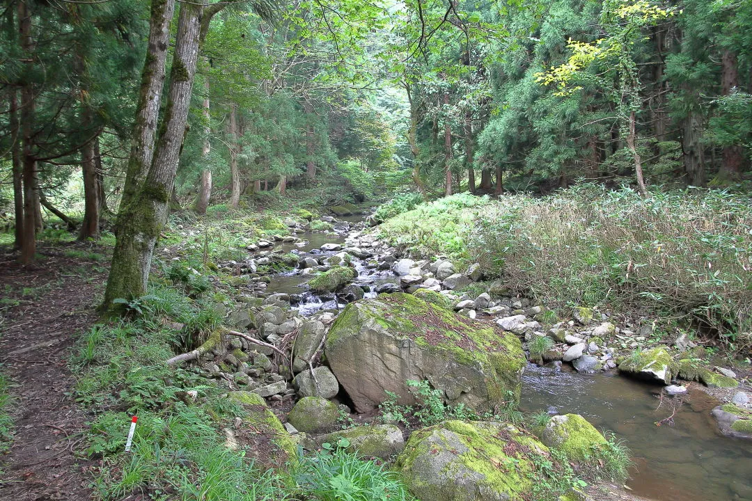 金山廃村の手前