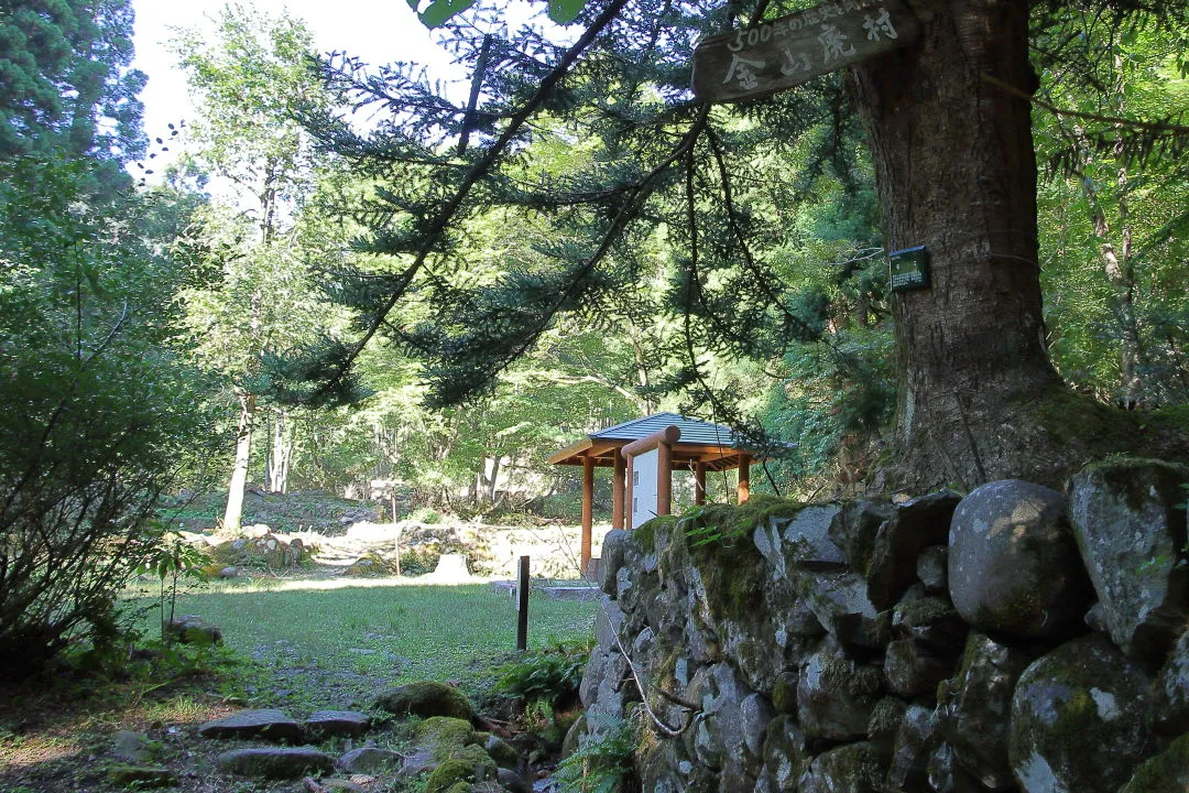 金山廃村跡