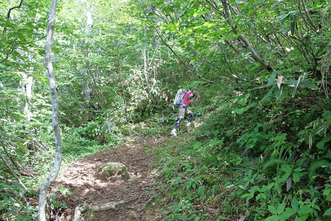 六本桧への登山道