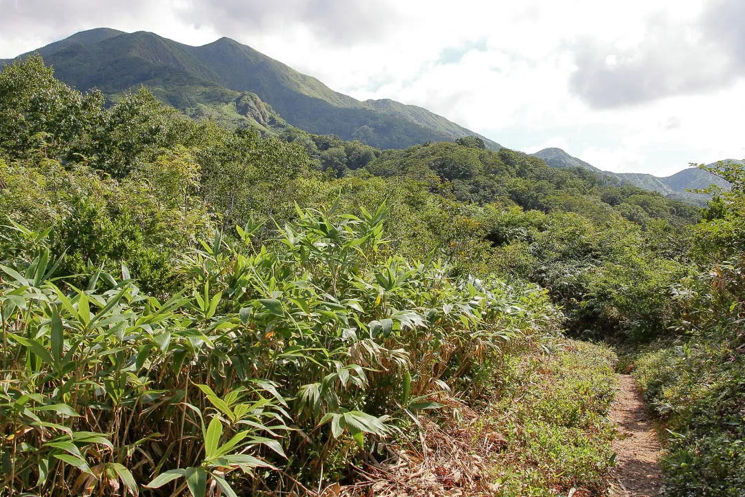 剣ヶ岩へ稜線の登山道