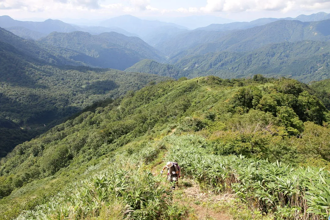 稜線の登山道