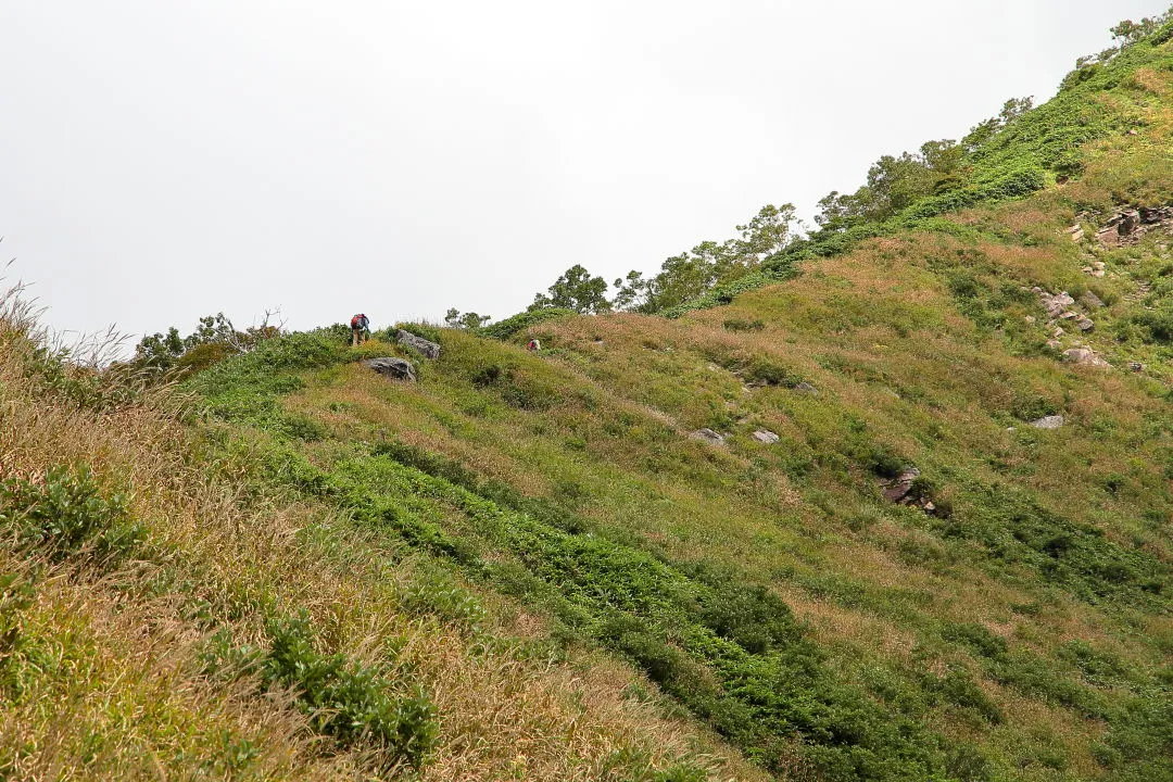 避難小屋への登山道