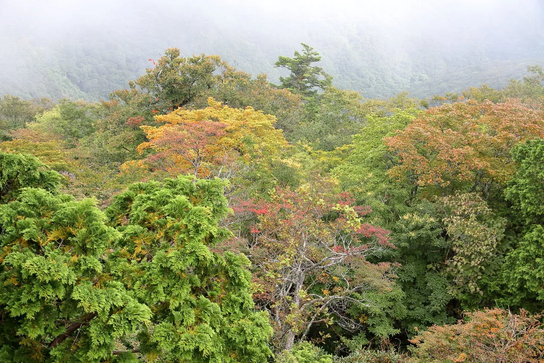 稲村ヶ岳展望台から