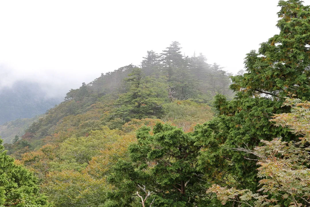 稲村ヶ岳展望台から大日山