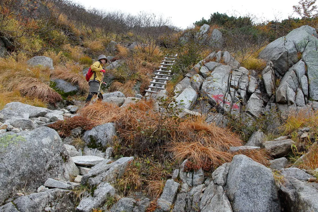 駒飼ノ池への登山道