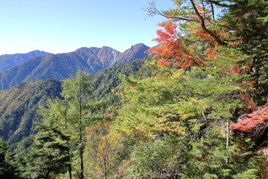 うどんや峠から見上げた山頂