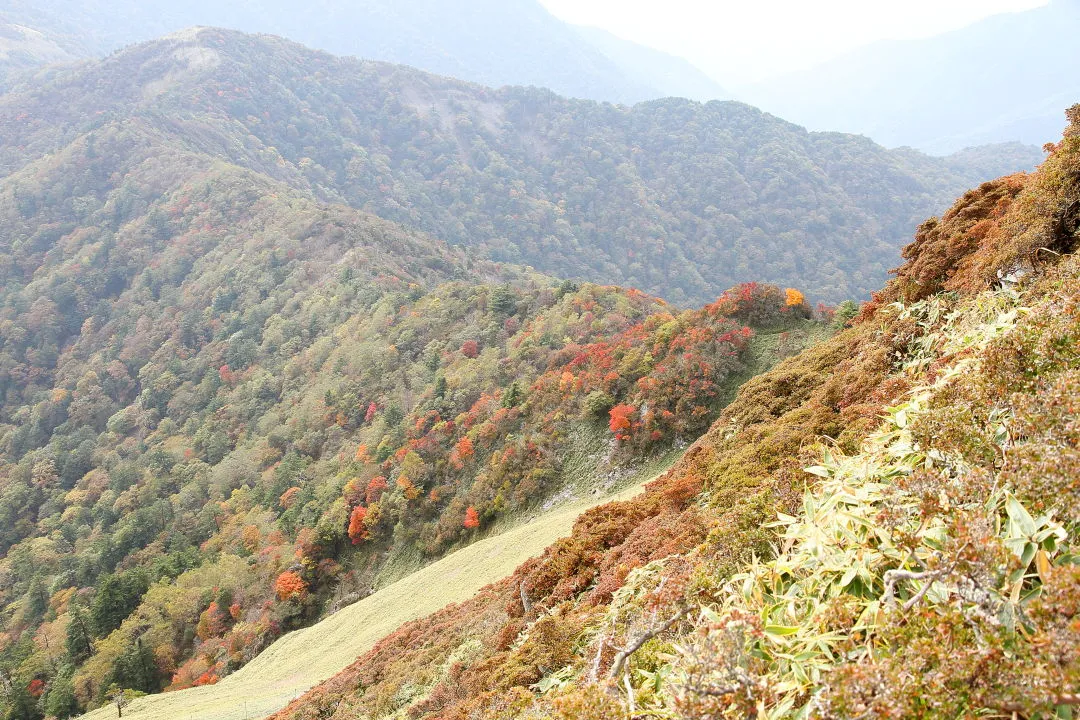 三嶺への尾根筋