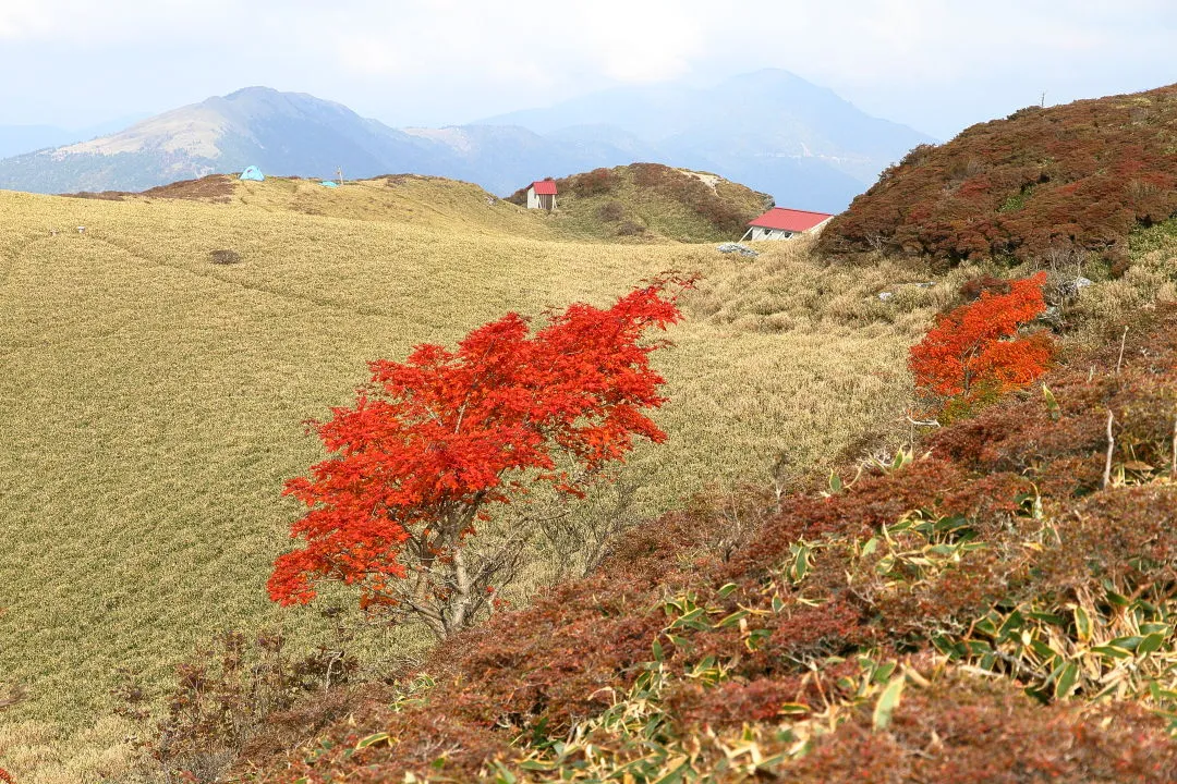 三嶺から三嶺池へ