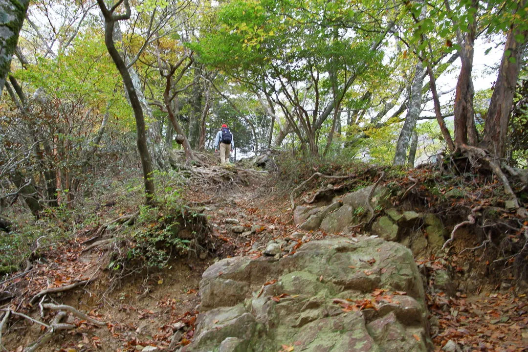 奥駈道出合への登山道