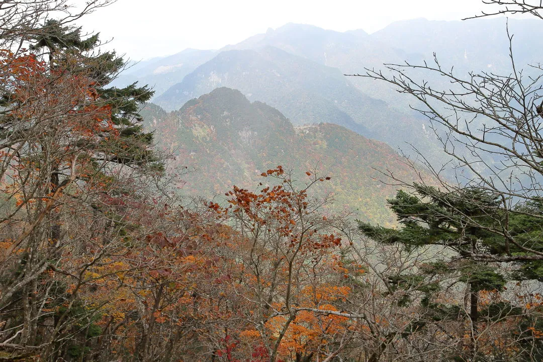 山の彩りも霞む