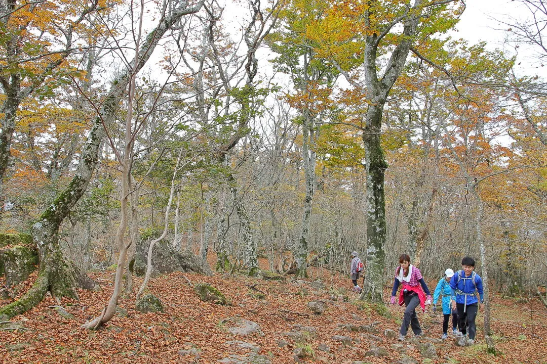 若い登山者も