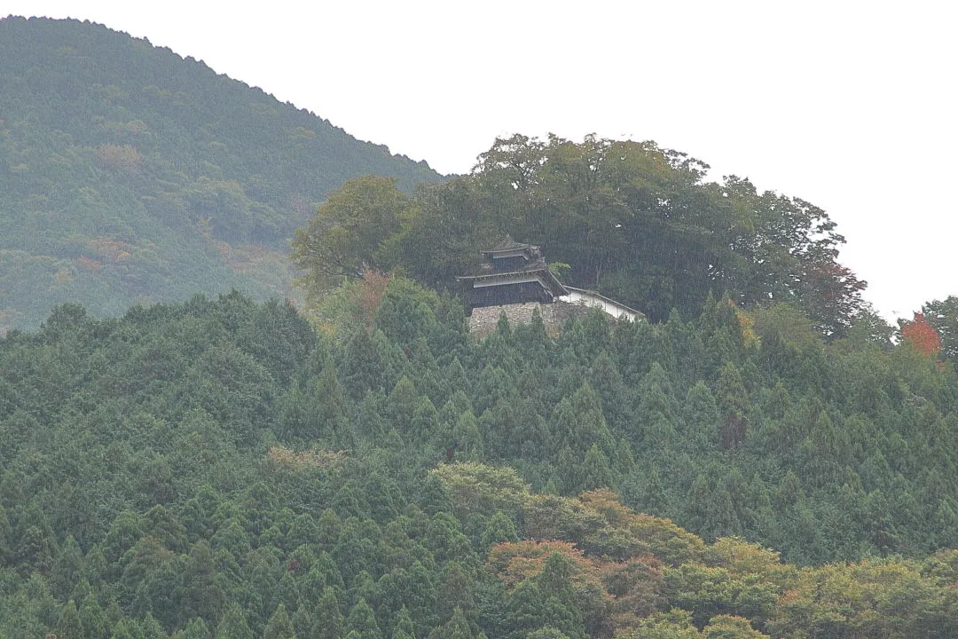 城山の麓から見た波賀城