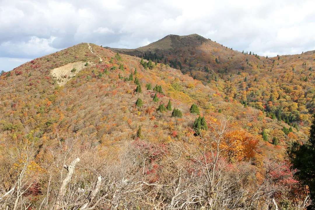 御殿山から武奈ヶ岳