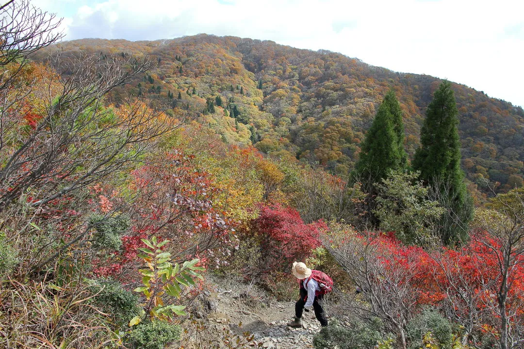 西南稜の紅葉