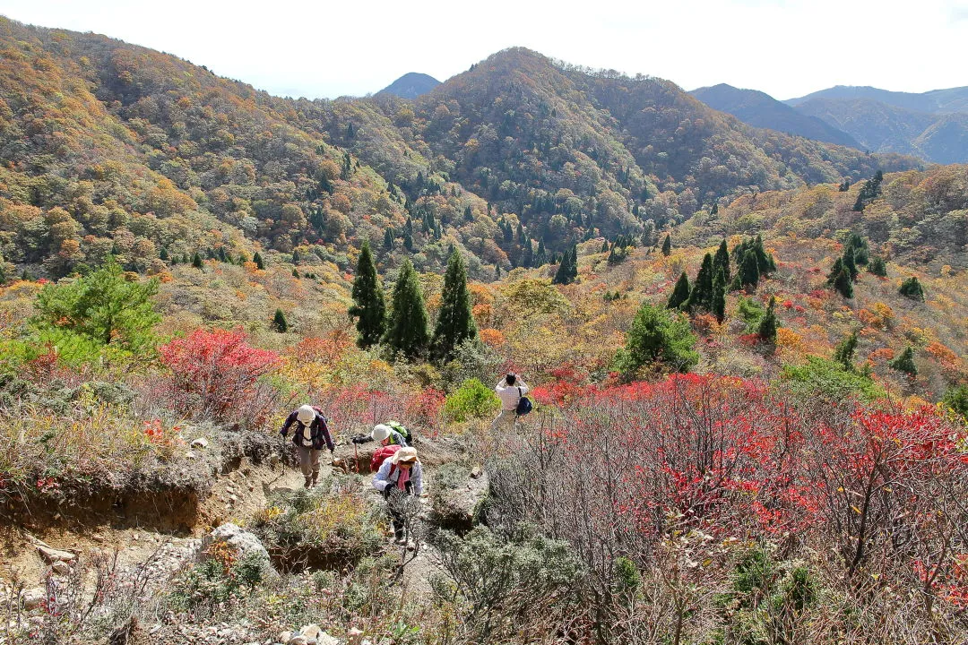 尾根筋を登る登山道