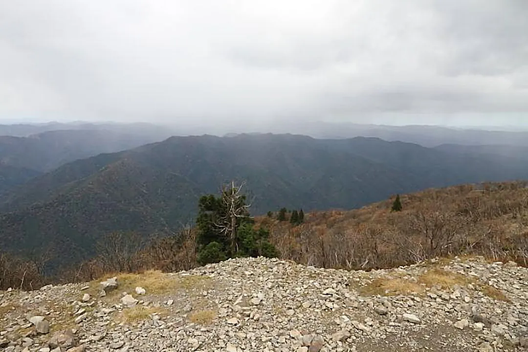 雲行きが怪しい