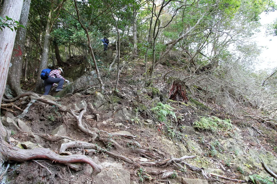 展望岩に登る登山道