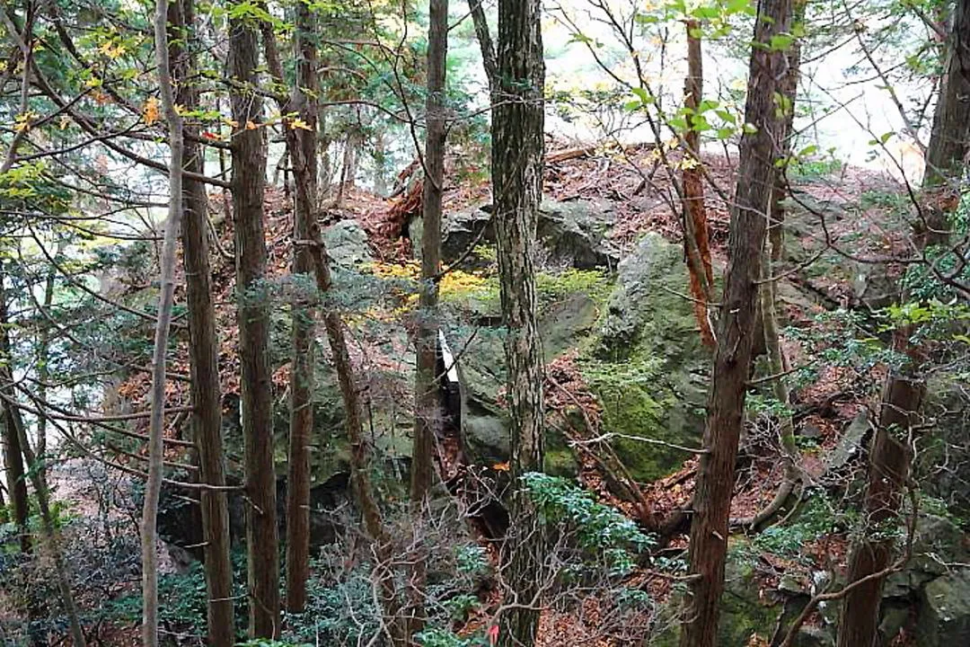 セリ岩の登山道隙間