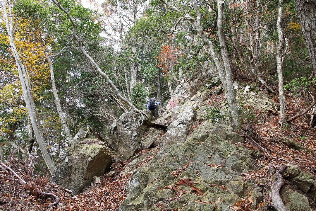 岩場の登山道