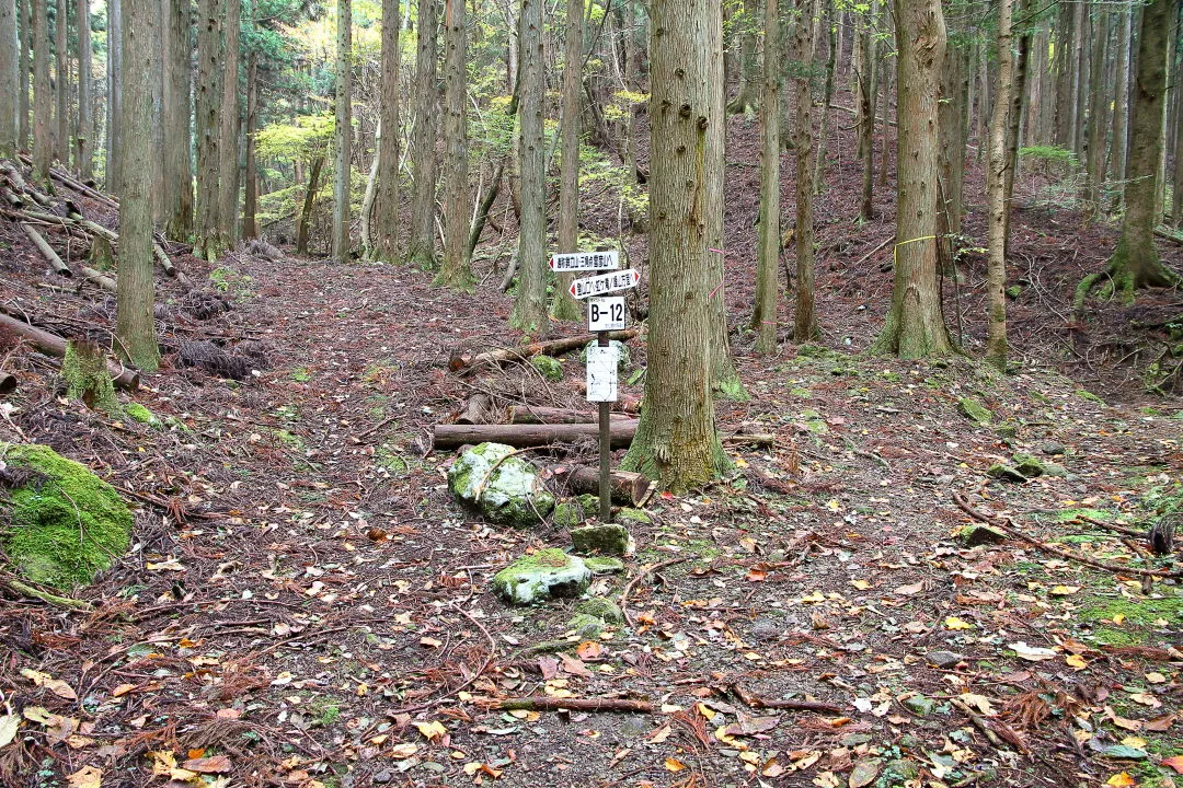 鉾立山分岐