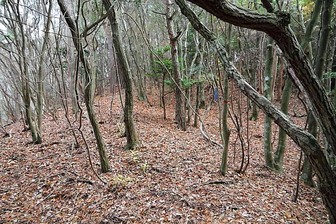 山道と判る痕跡