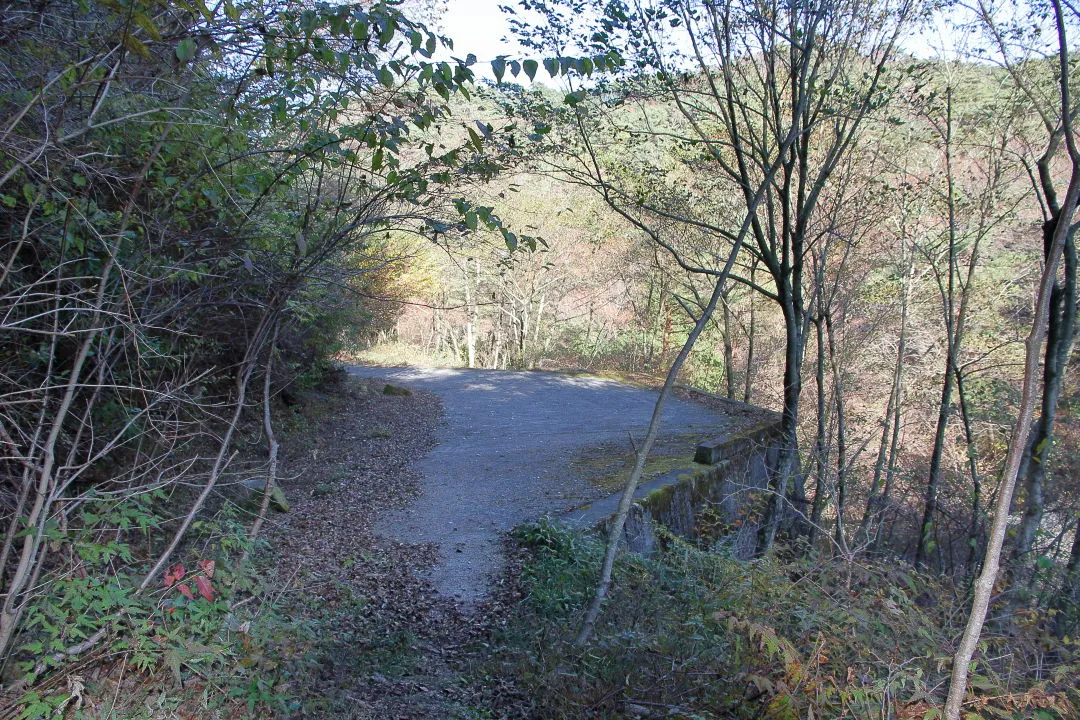 堤防を越えると舗装路