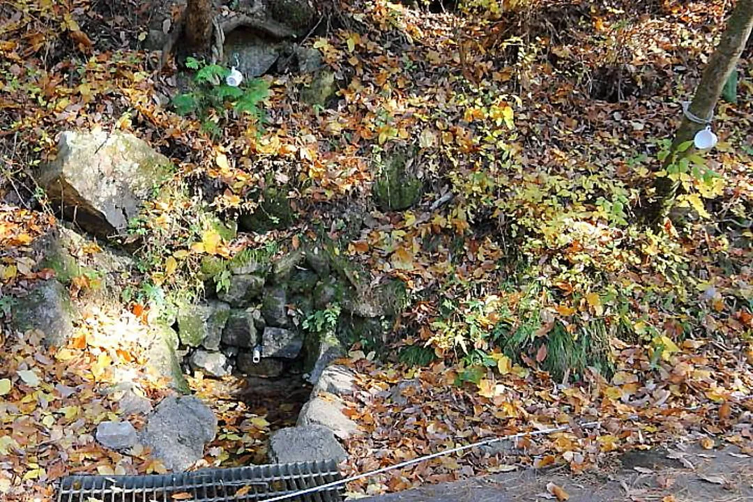 逢山峡の水場