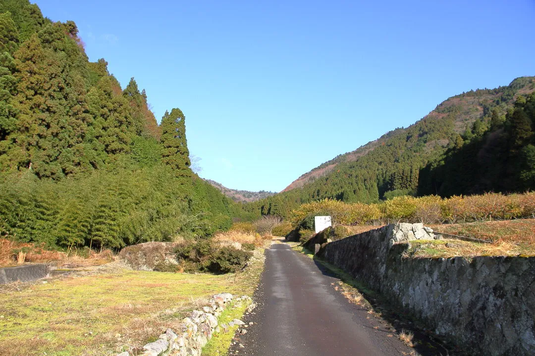 登山口から白髪岳登り口へ