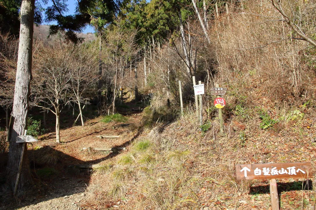 白髪岳登り口