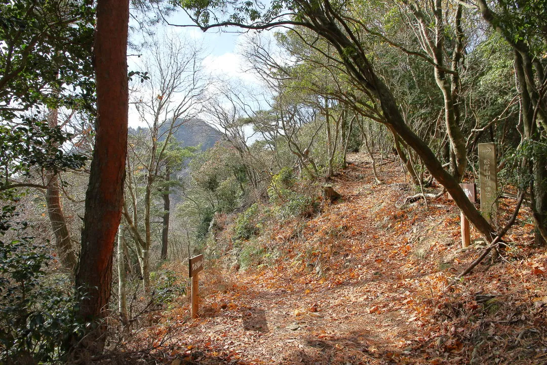 地図に無い分岐や登山道も