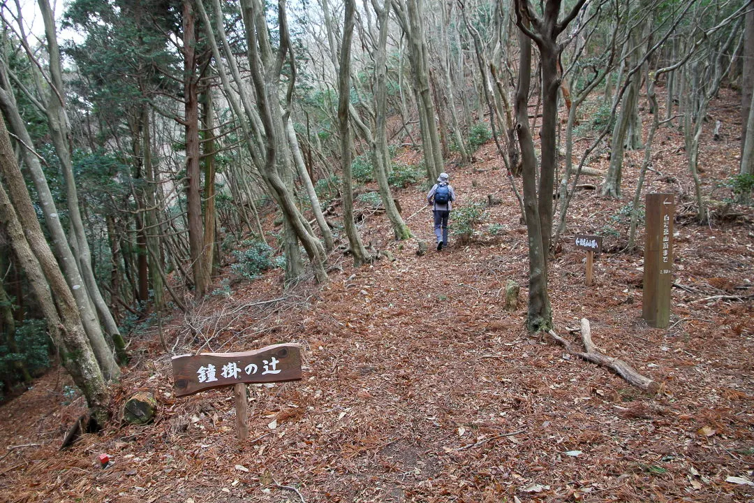 鐘掛の辻から松尾山へ