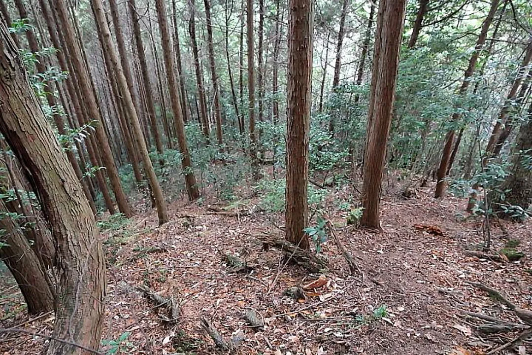 急坂を登山口に下る