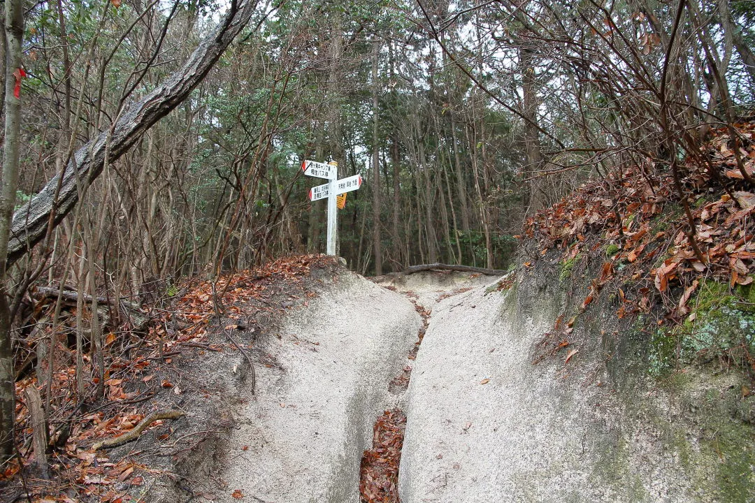 北峰縦走路分岐