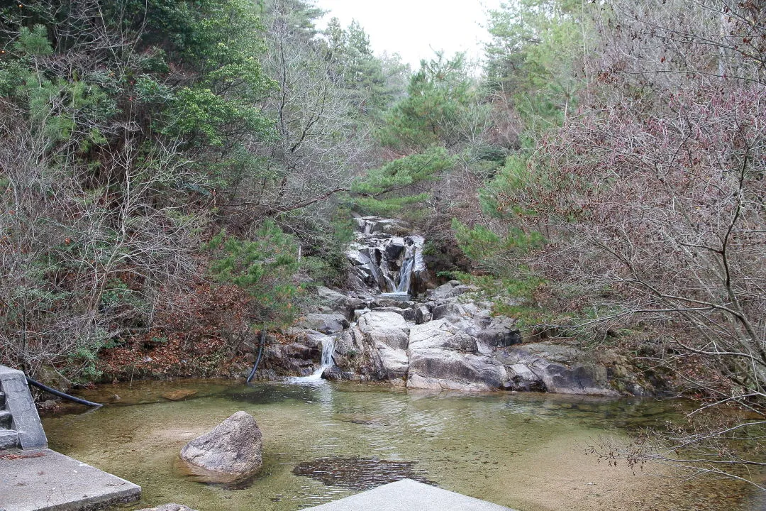 治山の森