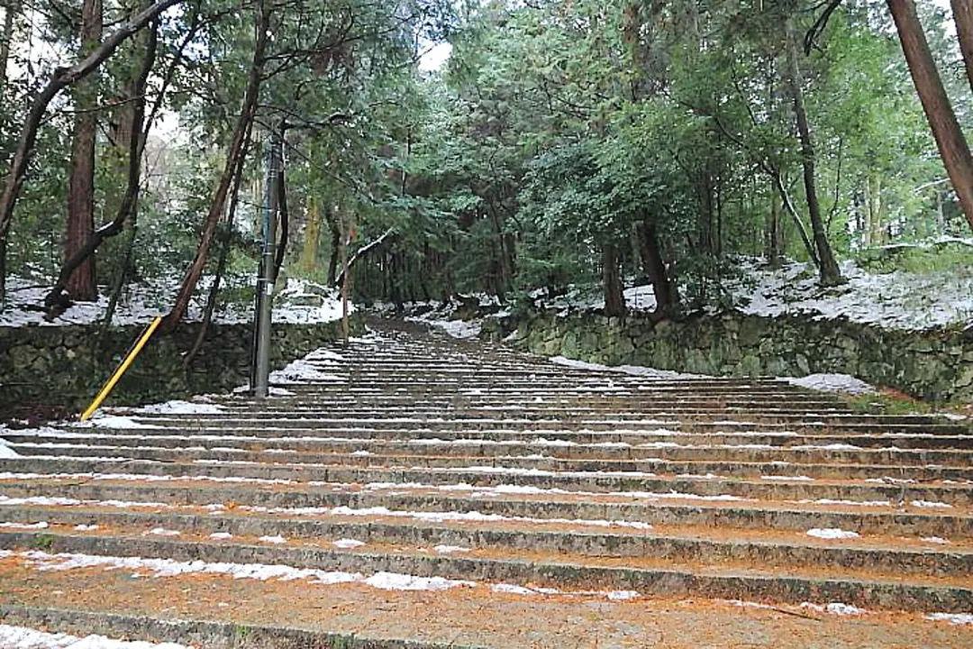 早尾神社脇の階段から比叡山へ