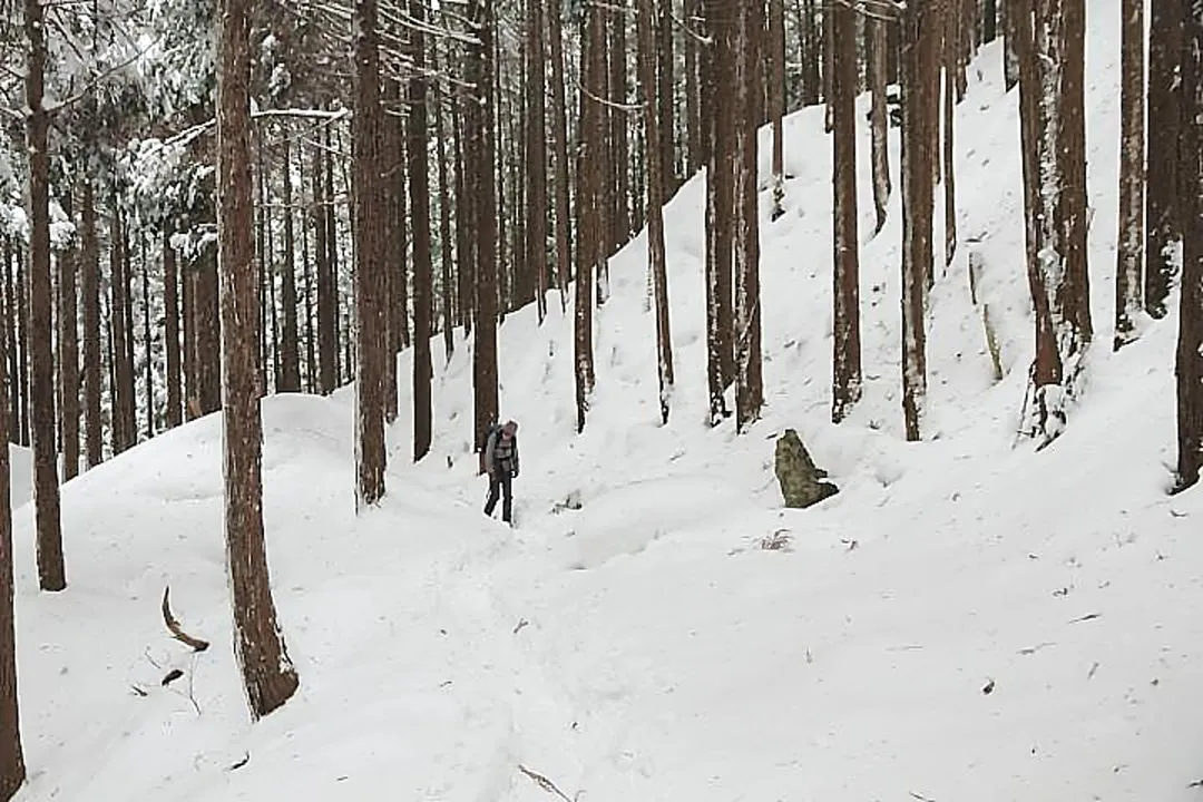 高見峠(大峠)へ