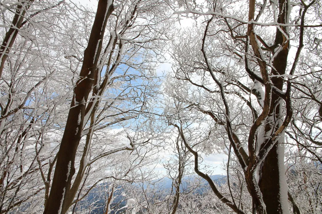 高見峠(大峠)