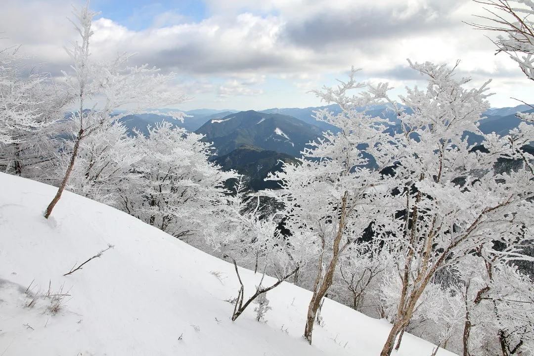 休憩広場から