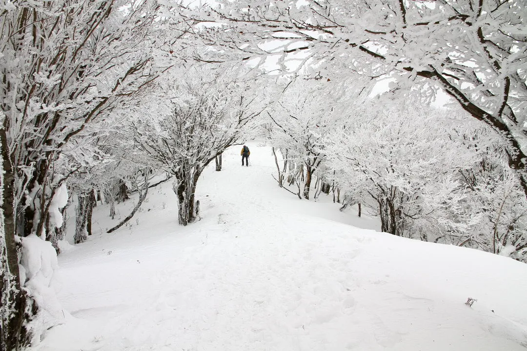 高見山へ