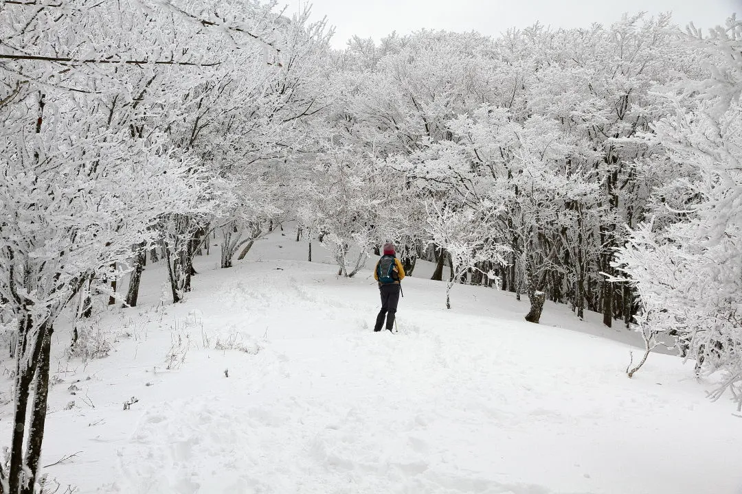 高見山へ