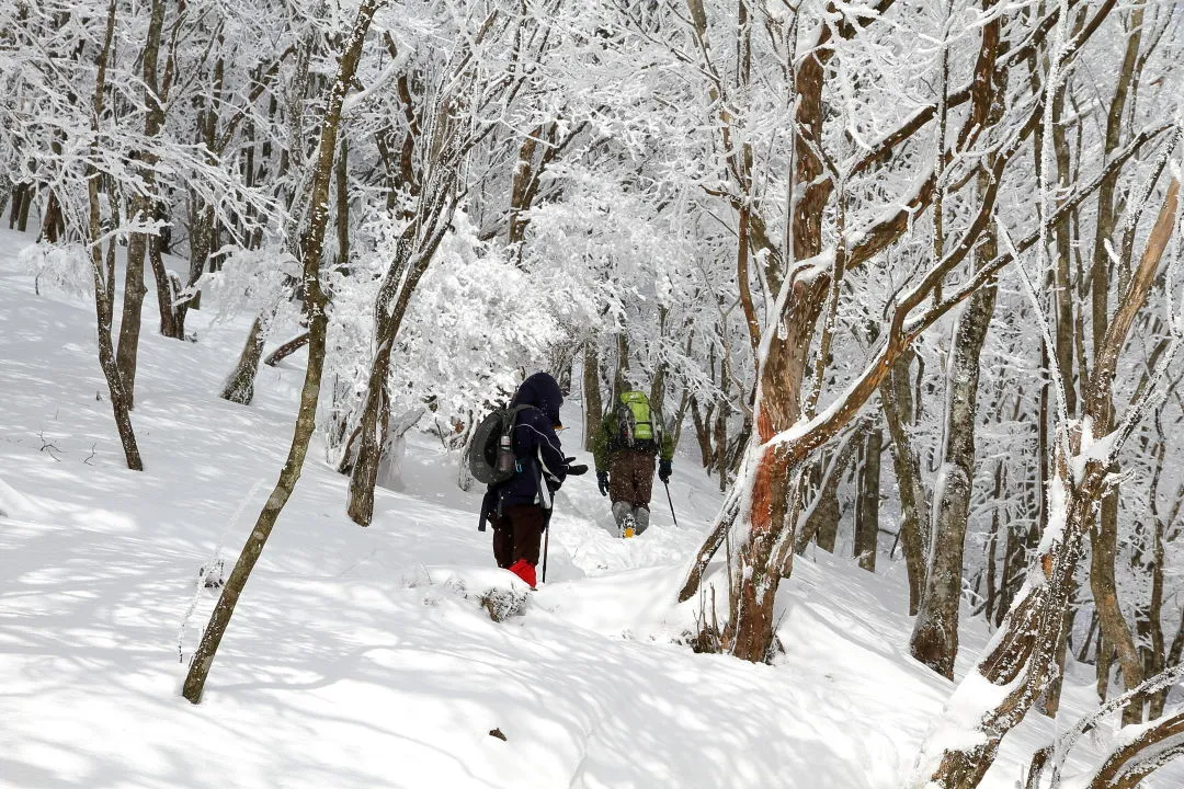 高見山へ