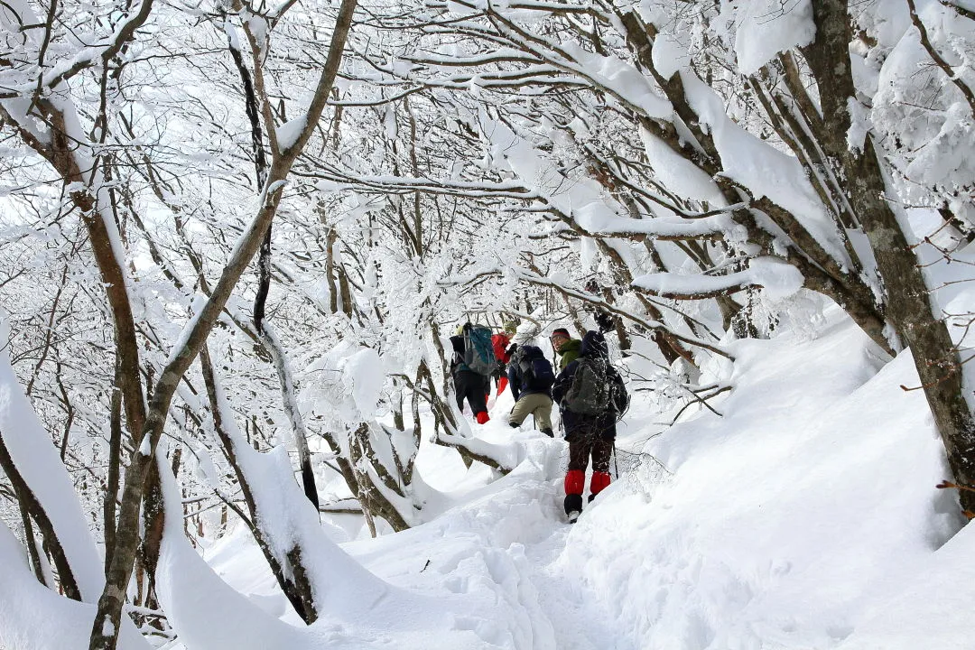 高見山へ