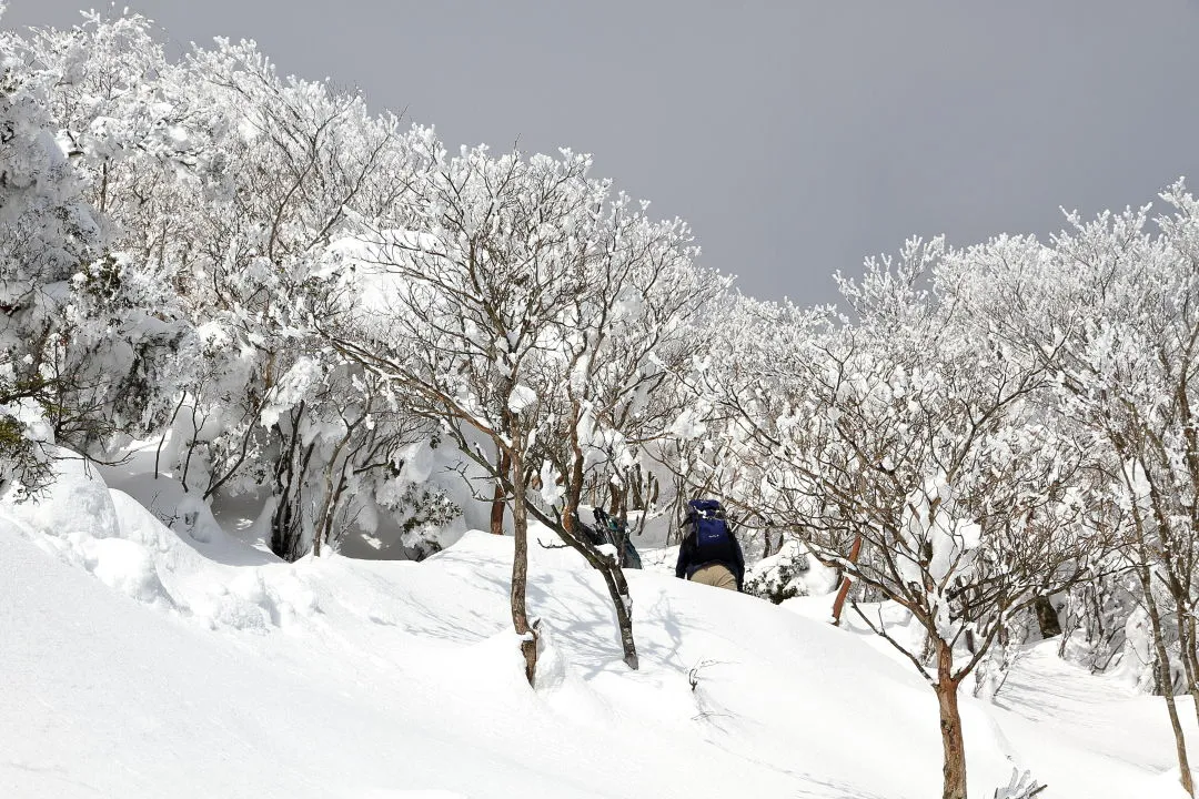 もうすぐ山頂