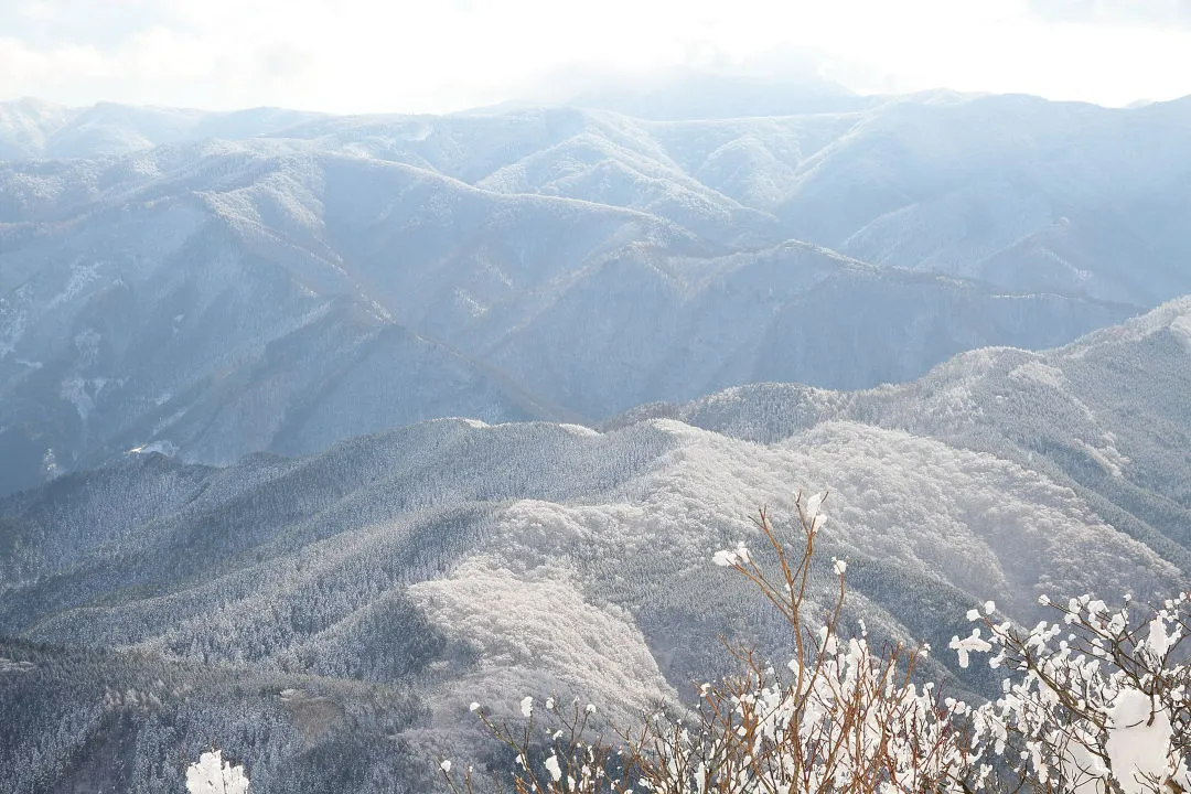 山頂付近から