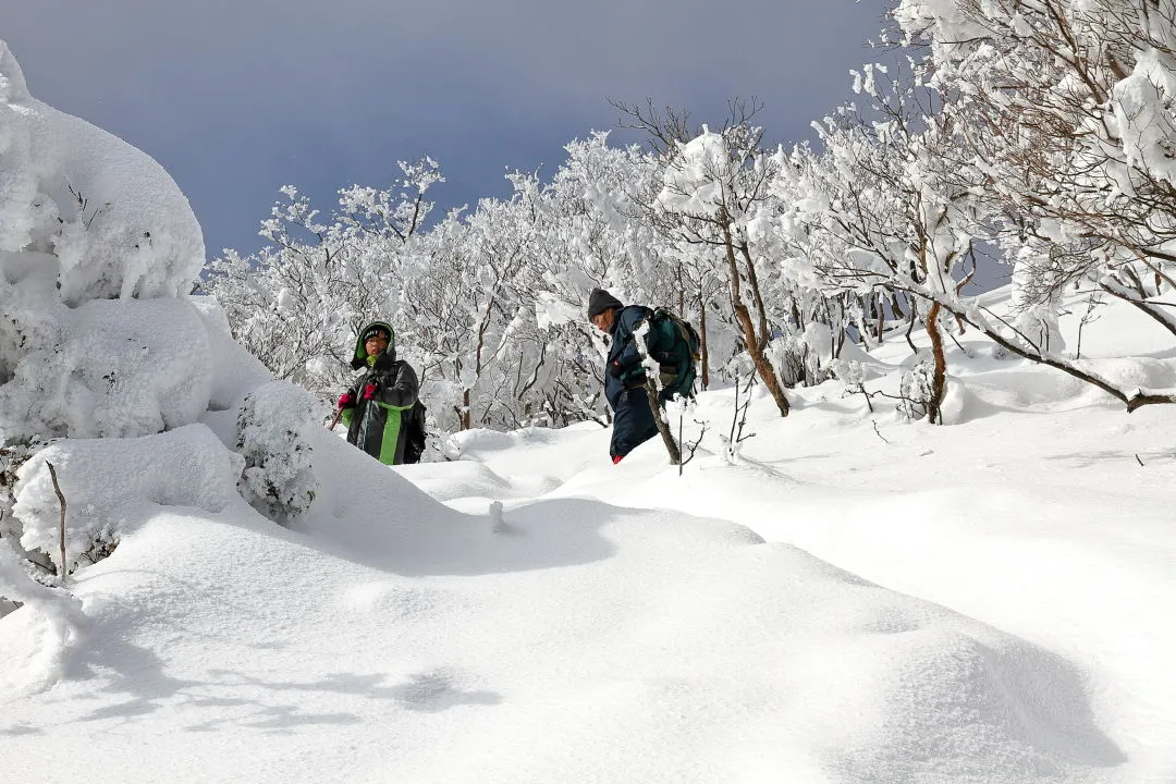 もうすぐ山頂