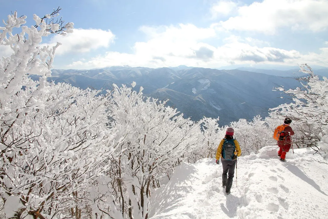 高見山山頂にて