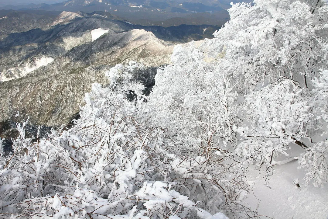 高見山山頂から