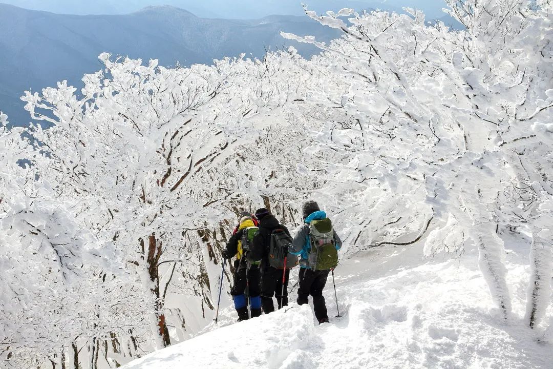 高見山山頂から