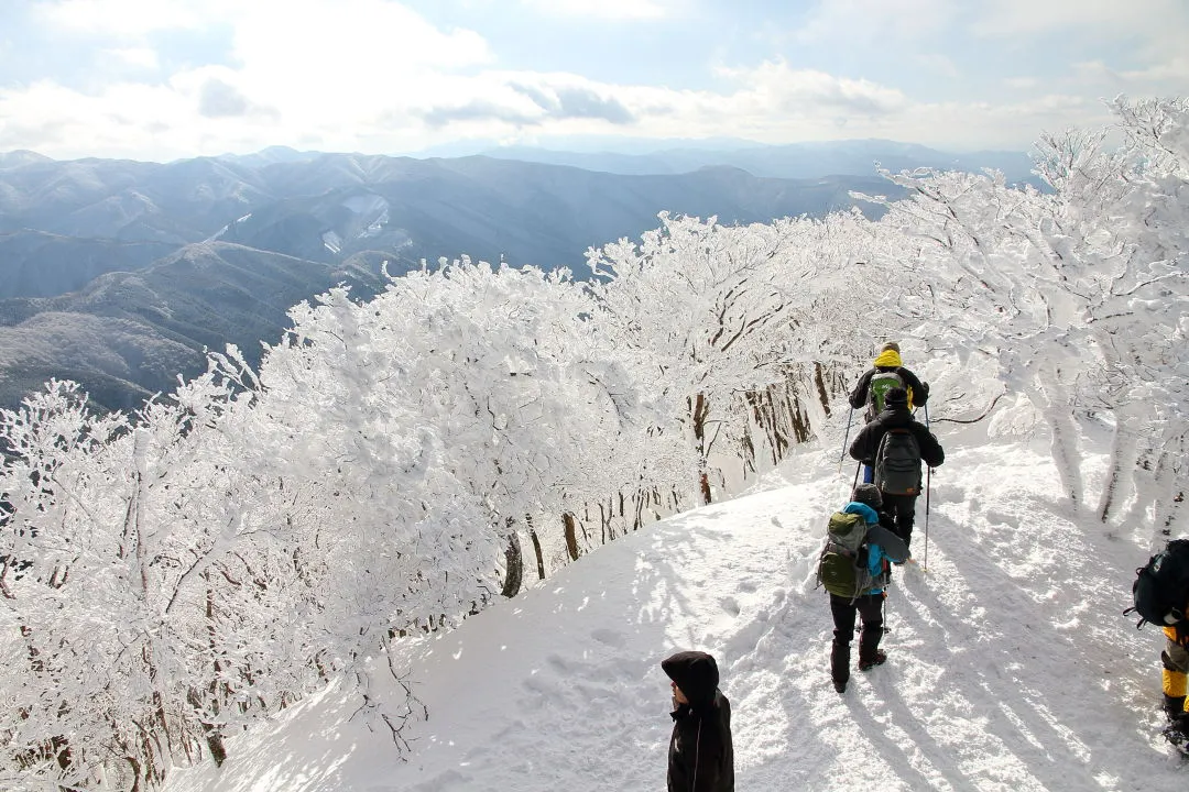 高見登山口方向