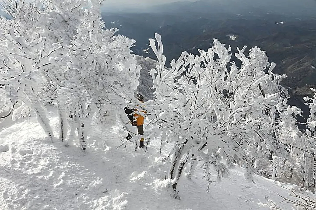 高見登山口方向